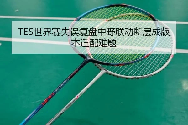 TES世界赛失误复盘中野联动断层成版本适配难题